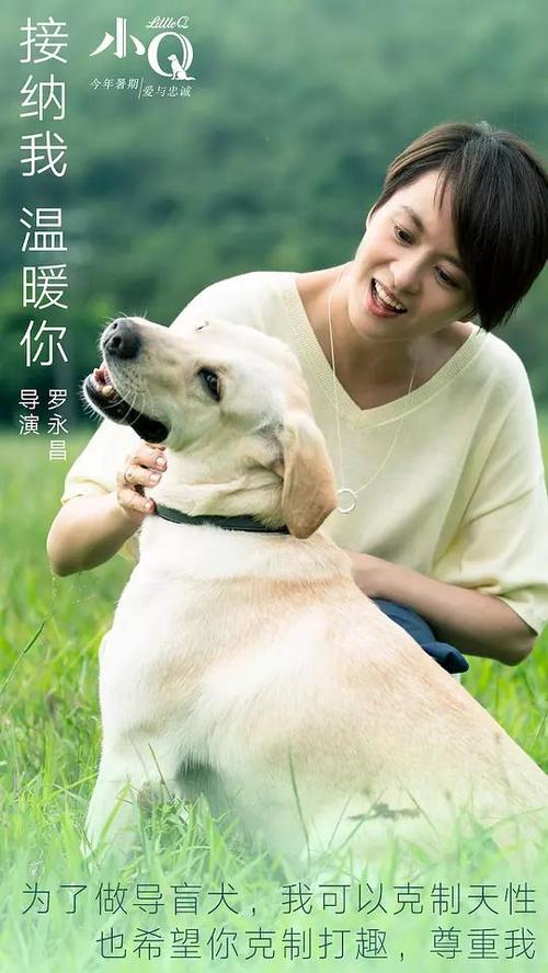 日本县立长崎斯博路德大学学历认证